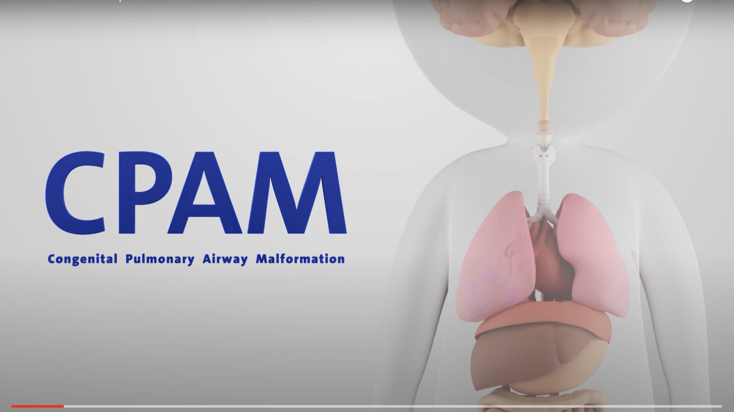 Erasmus-Connect-CPAM